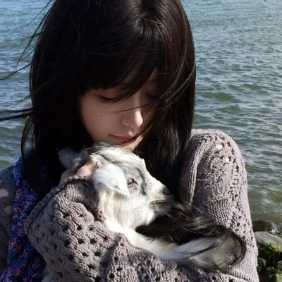 维也纳血案第四季