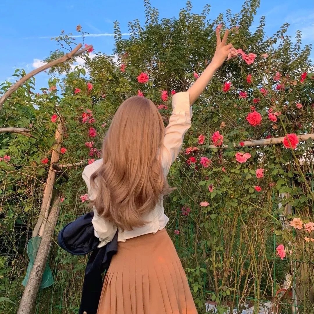 妹妹别斗了嫡姐已嫁高门